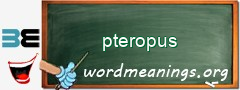 WordMeaning blackboard for pteropus